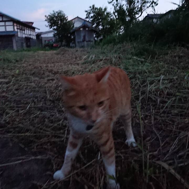 84fd40c8 f66d 4666 83c4 d18931bea41f 1566121995702