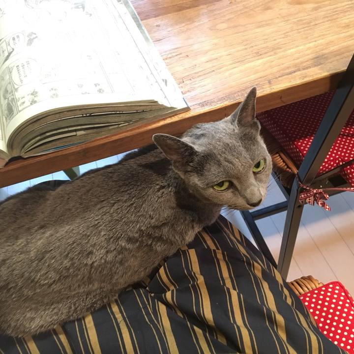 84fd9310 234c 406d a323 baf7efe3475b 1533628696943