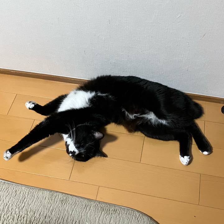 84fdf128 acaf 4431 8e32 15ba3052558f 1685504752549