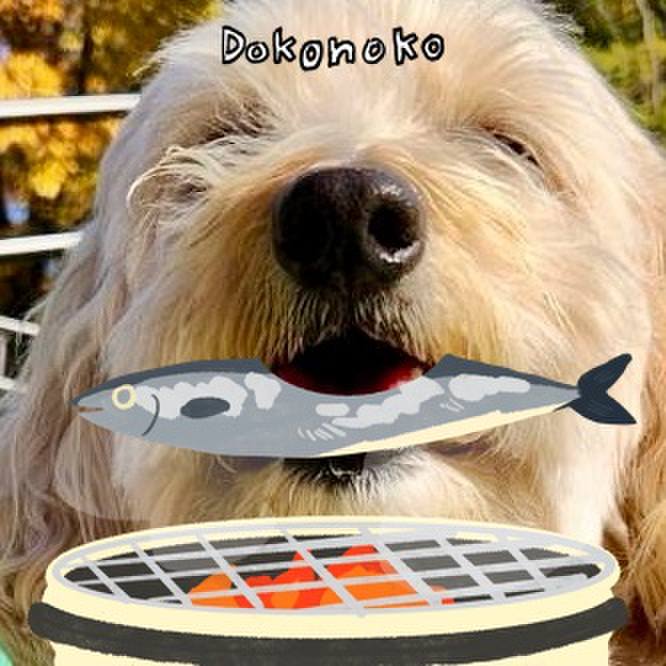 84fe2733 c09e 4aa7 8d2e d97456998dac 1761101087320