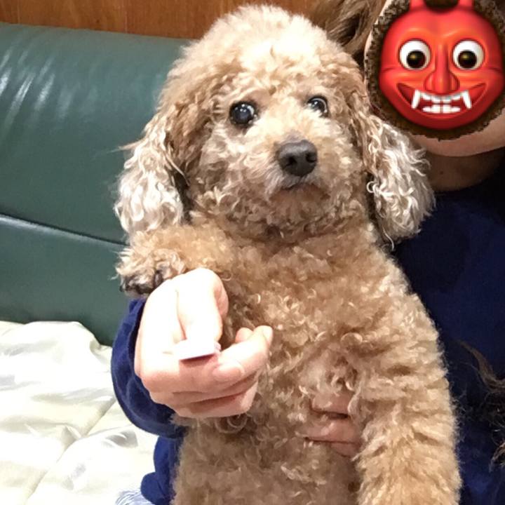 84fe346f f6b9 4cfb 87d9 93e0d7a0e102 1524488635690