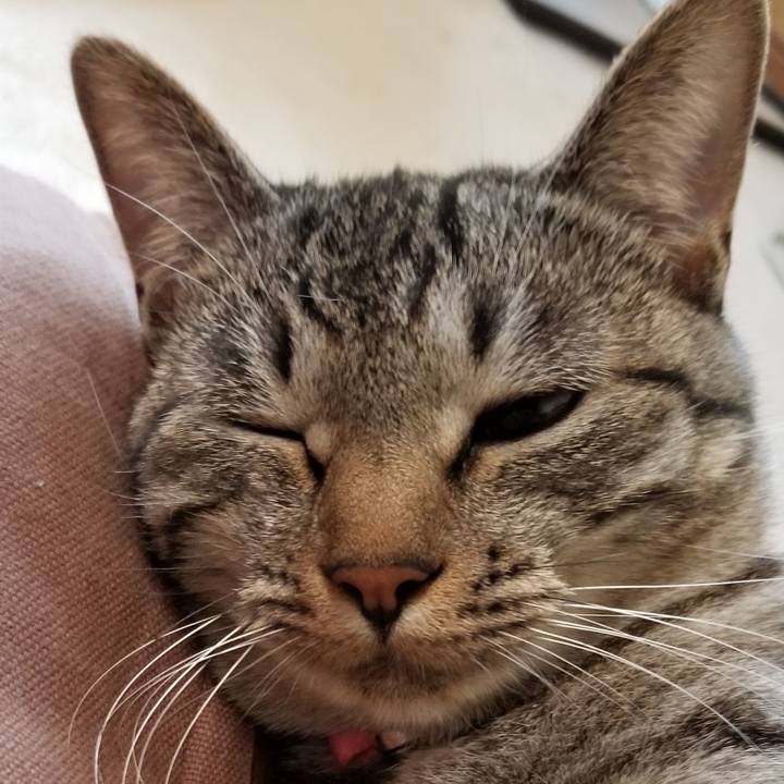 84fe39df 78df 4a90 8094 12bda84a13cc 1684850982570