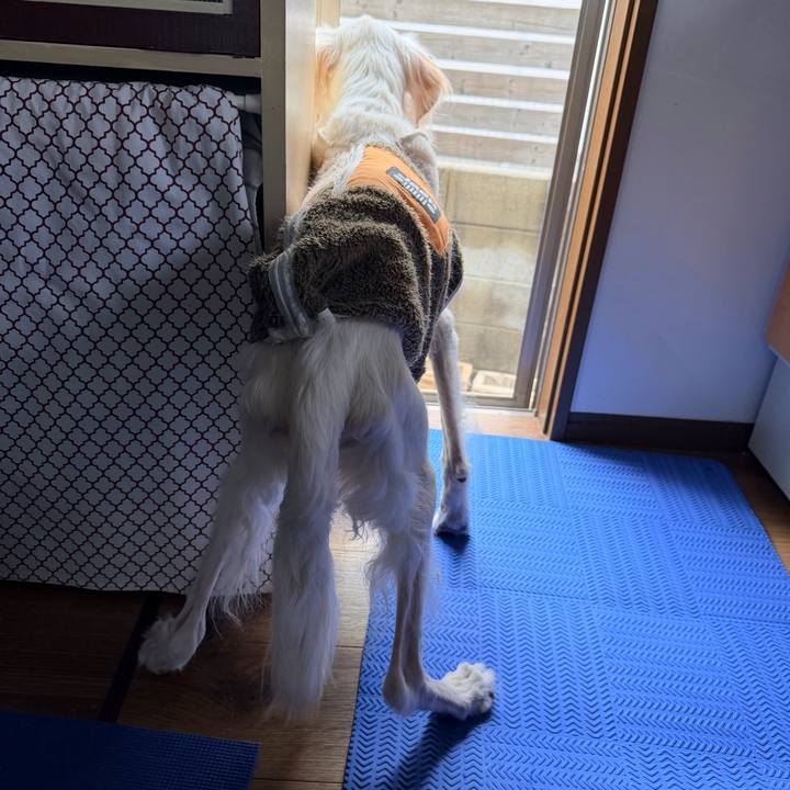 84fe4ce7 2b18 452a 839c c1d81fe7b7e1 1762728821898