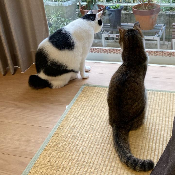 84feda0a f940 4cc9 bf9a fbec4d27593a 1572444935613