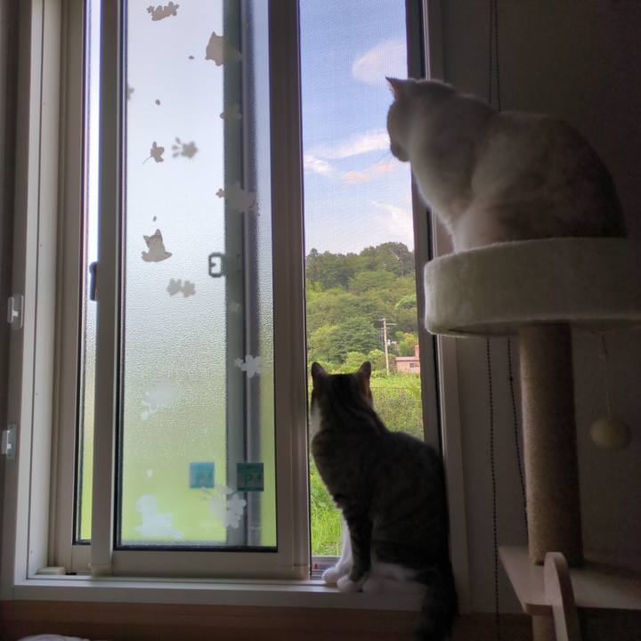 84fef562 5295 4b10 a664 3ff89b2140ed 1690881921274