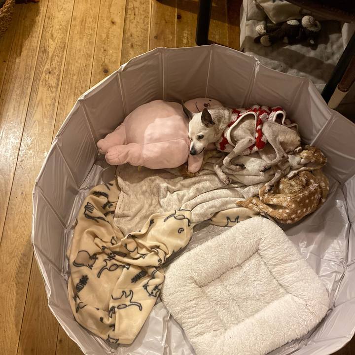 84ff079b 6578 4ddb 93e6 efa71f3088ca 1762134672957