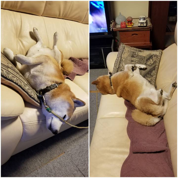 84ff211d 30cc 4cb8 a26a 05306527a0fa 1668415659614