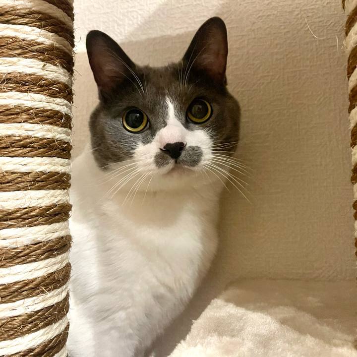 84ff7dc6 a9dd 4009 ad7e a02f0412ef89 1664875903356