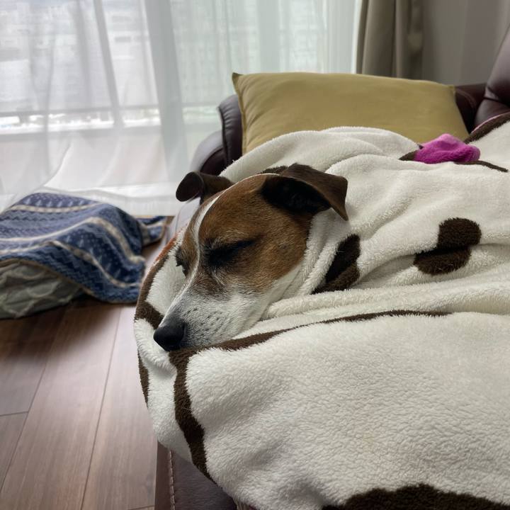 84ff8aaf 6899 4196 8f06 056dba9aa137 1748127645552