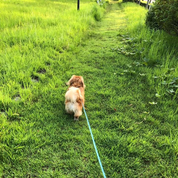 84ff8bf6 05a7 4195 a261 f5b64ee9aab4 1564871848658