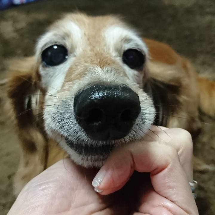 84ff8efb 074d 4c72 92ad 46978801f218 1510455699152