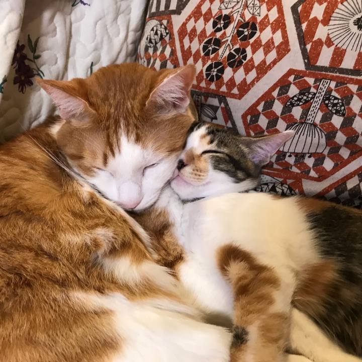 84ffc7ce 989d 4880 9925 c22bac95feb7 1603375557427