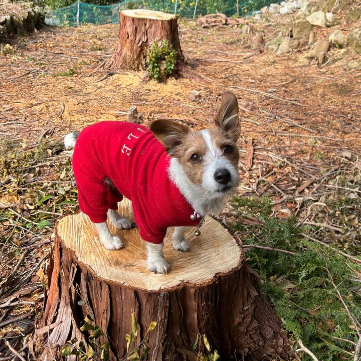 84ffeda7 c7e7 454b a17d 7aec9efd4063 1766372586157