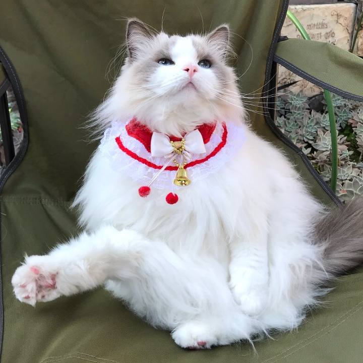 85000b2d 46f4 42a8 b871 1507466d368e 1607457227922