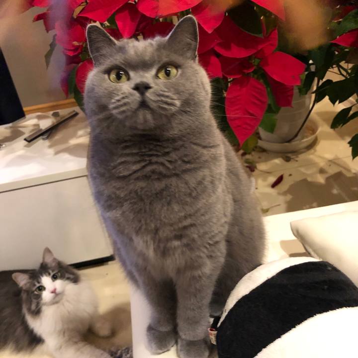 85000dd9 6a49 4572 aa56 ca4674e93258 1549102977251