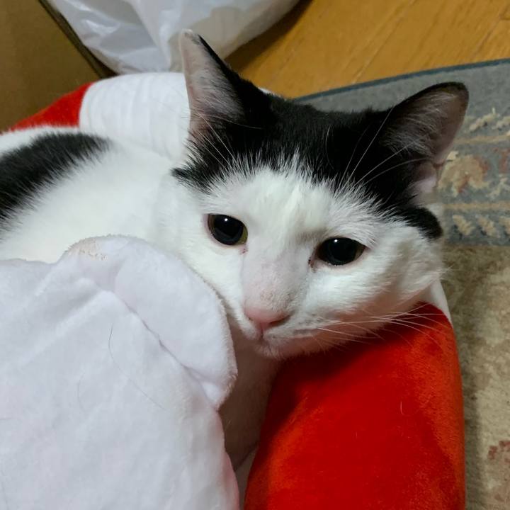 85002546 1c47 4320 a2f8 1538529f463a 1562413965197