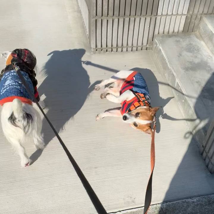 85004fac 76df 4a9a bdea ebf6ec112120 1611884407795