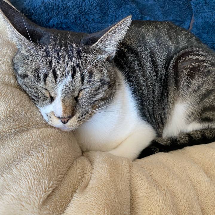 85005b4c cba1 4543 8d50 382c96fdf896 1741492404855