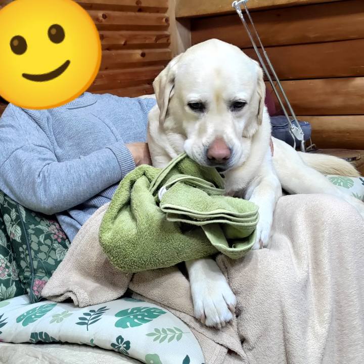 8500d334 4f7a 4e04 8a7b 257fc93835aa 1646757013859