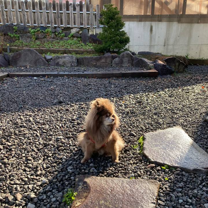 8500d578 c46a 4b4d a35b 031e58607b36 1682203711030