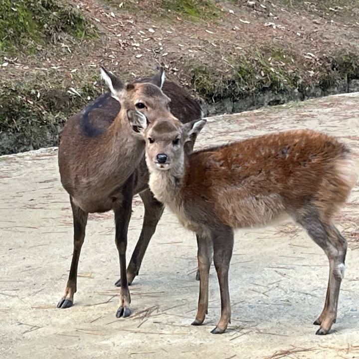 8500e036 c18a 448b a7f7 0724f9e9dcd3 1700913738343