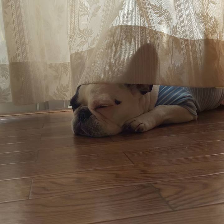 8500edaa fab2 4bdd a7a0 3f9d8276e24c 1546223323020