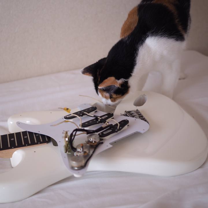 85016631 587a 470a b272 8a6bc1c8e489 1534573284361