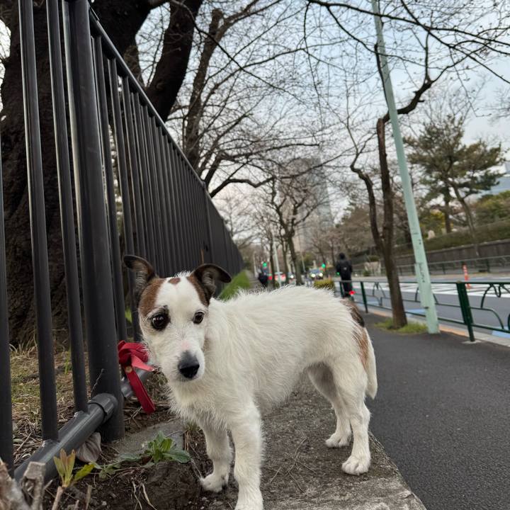 85016b02 f179 4a45 aaca 9509f7091e14 1774345855005