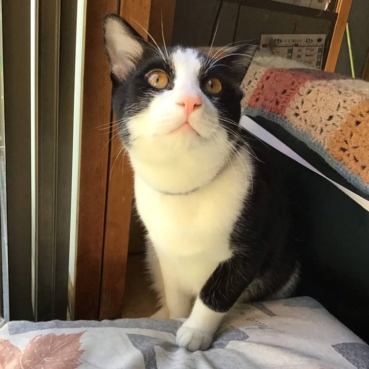 85017689 0791 4a94 a1a0 bb335e371eb6 1636090083574