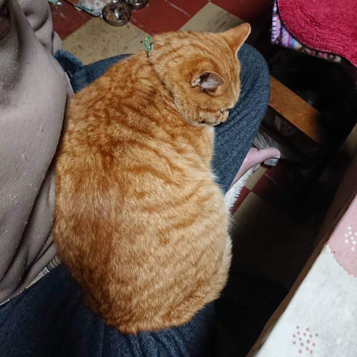 85019600 5e84 4c4c a1d9 97db4264fe66 1580934622618