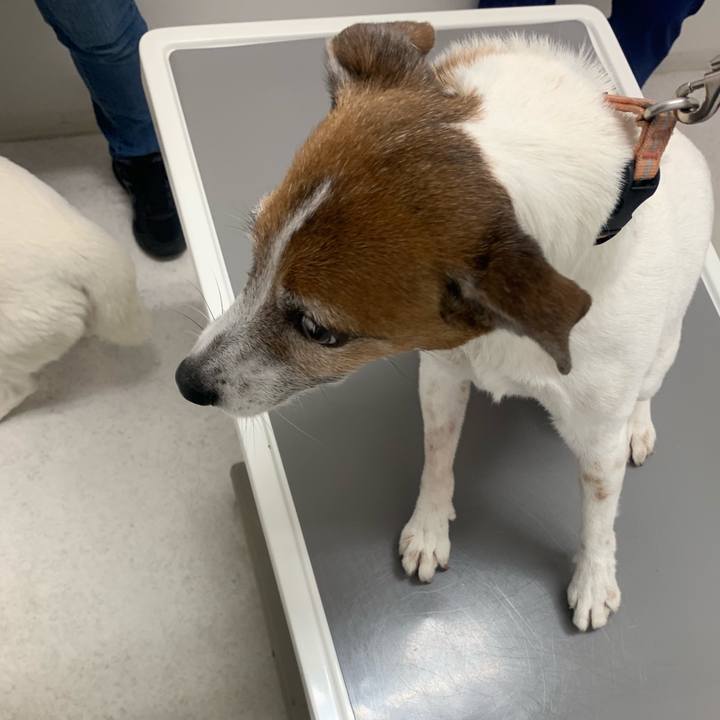 8501aa56 6ba3 443f b98d 2cf947214126 1556967429849