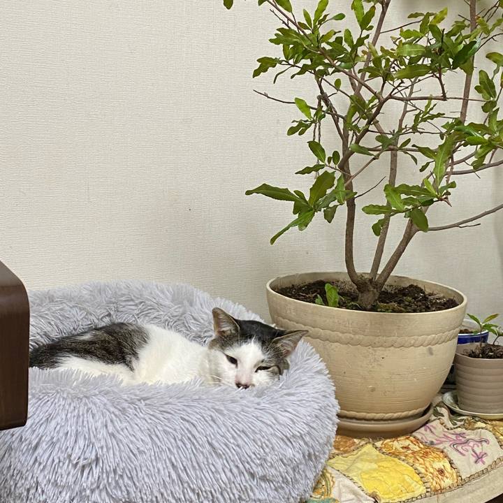 85026761 71f1 4ecf 8379 8565c851e066 1634820412324