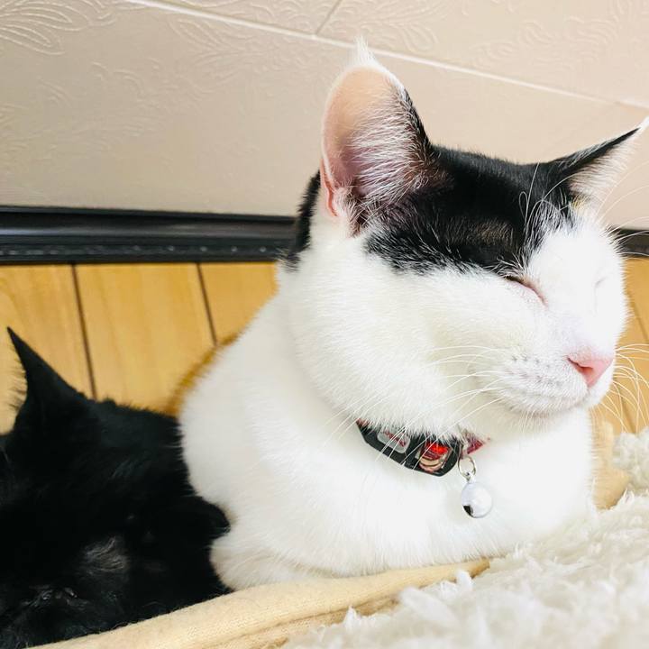 8502c314 d425 47d0 898a 594a876176c8 1670849750464