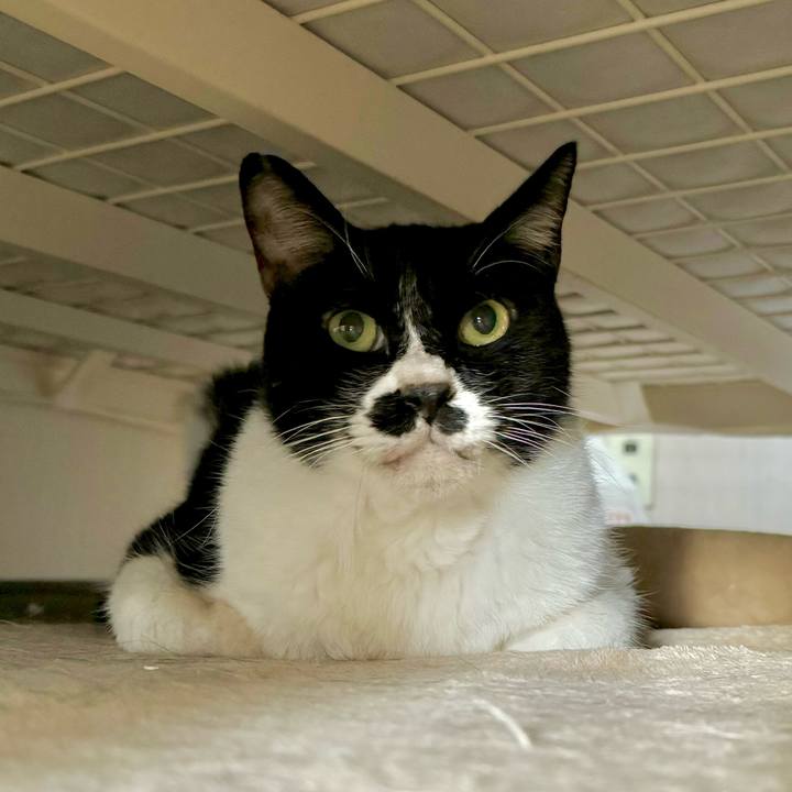 8503239a 9cc3 43e5 9cbe 525e8f58bae1 1730598183886