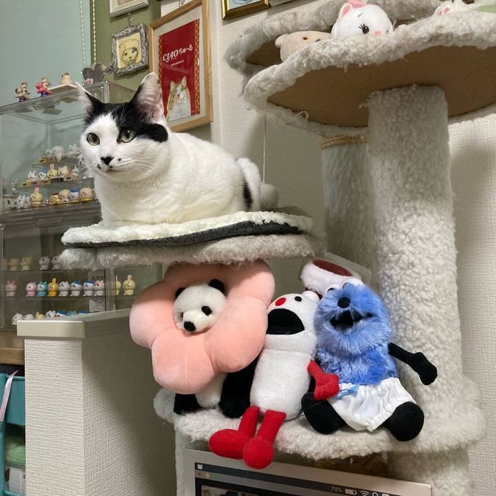 850343b0 e57f 4826 b338 9e9be006c439 1767190514521