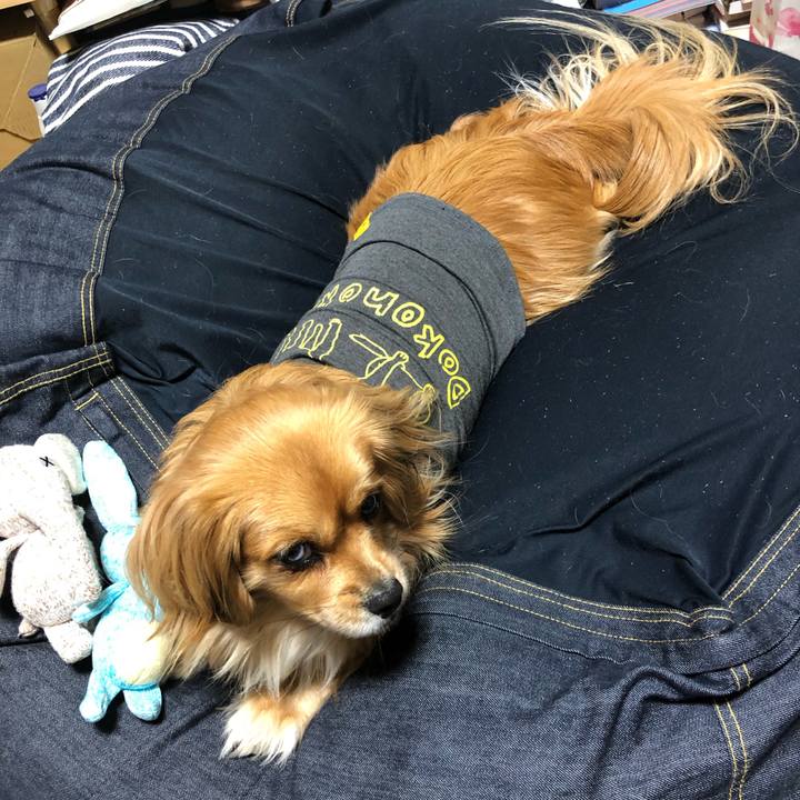 85034536 ac7e 4d76 afd4 e655fb56f6bc 1551655676395