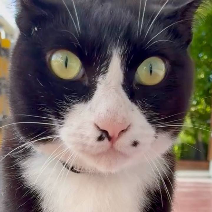 85039c18 ea84 4283 840a 25e178103b14 1749125147598