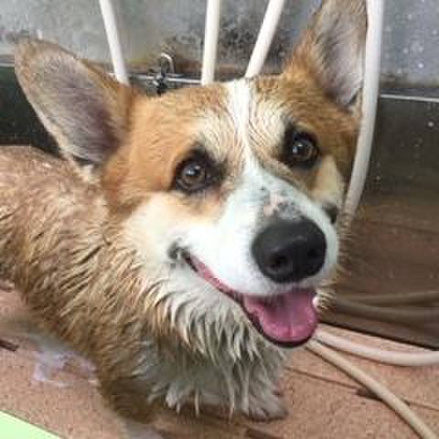 8503b964 ac66 41e8 80e4 c89cc1c1003b 1681726341561