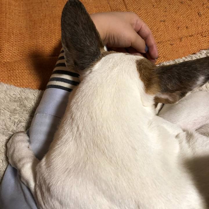 8503db19 f288 4344 a162 5e0d11c1382e 1556495865361