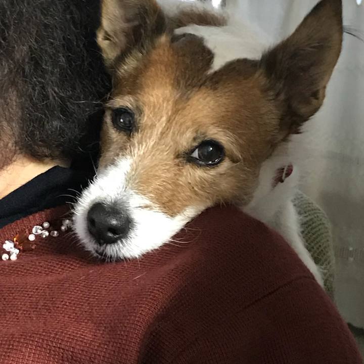 8503f062 0c0a 4637 b205 f5fe9f4cb5ab 1511503700296