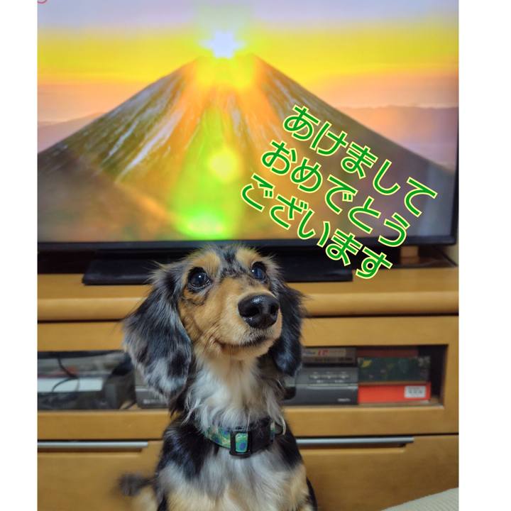 85041905 a821 41fb 91b9 ab17704018e5 1735693996650