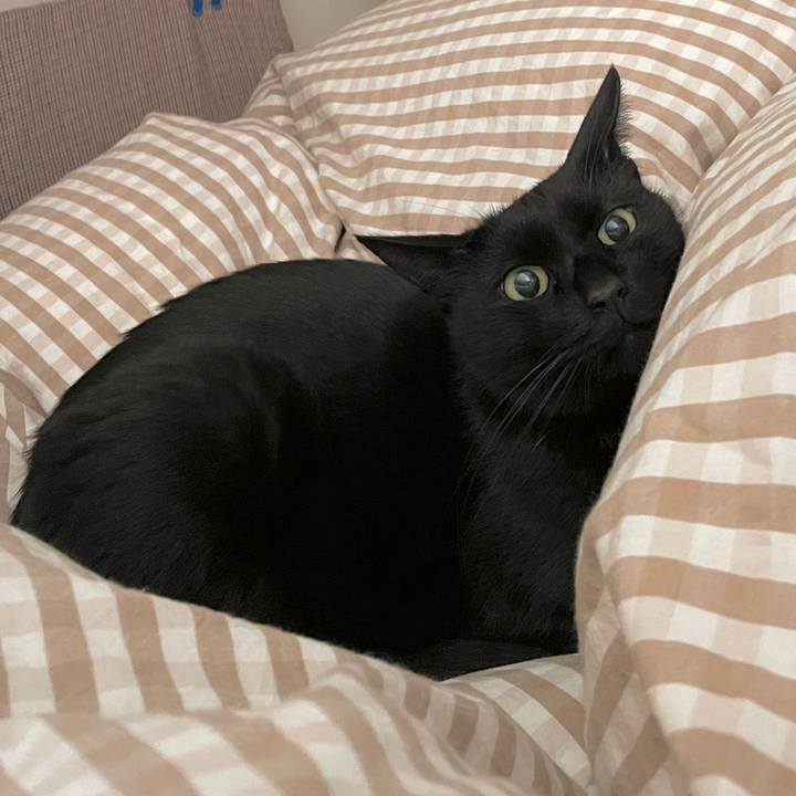 8504252b 3a03 48e2 b652 4324c532d7f4 1665882692727