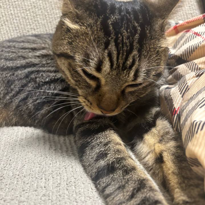 85049463 673f 40d2 84dc 3f80fe4bce6c 1759800479581