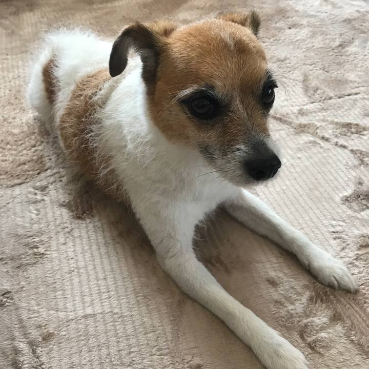 8504a558 91fa 4c0e a452 726c24901344 1524272263813