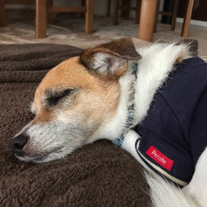 8504ed04 b067 48c1 afe5 af379d32d2d9 1560054615259