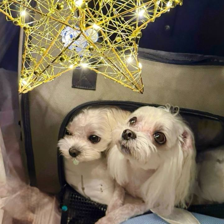 8504eed6 4beb 44bf 9351 116861a832b0 1760352024336