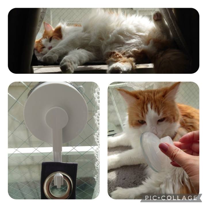 85050336 7731 44da aa9b d219f04afac5 1635737027755