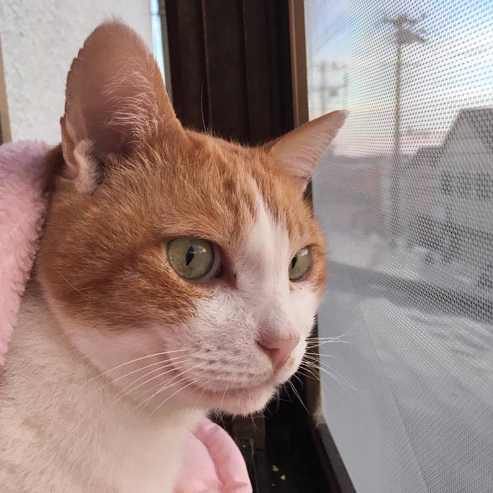 85051330 adfb 405e a144 180fb8d05db6 1571897073390