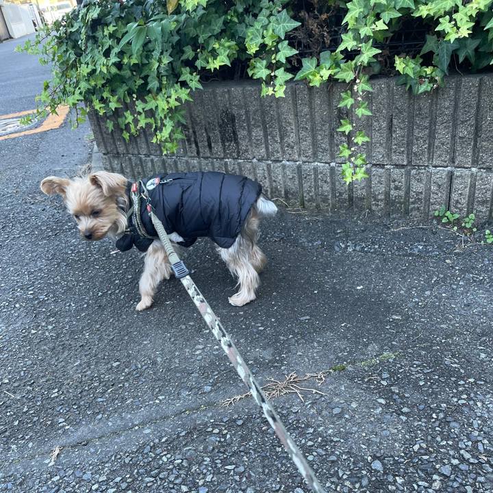 85051f57 2fe7 4bd5 984b a6fde7186e3e 1763592759665