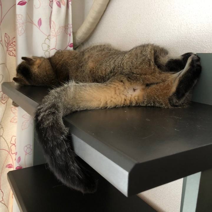 85052fea 19fd 475c a3f0 c71048724de5 1623034465309